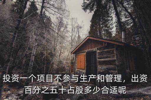 投資一個項目不參與生產(chǎn)和管理，出資百分之五十占股多少合適呢