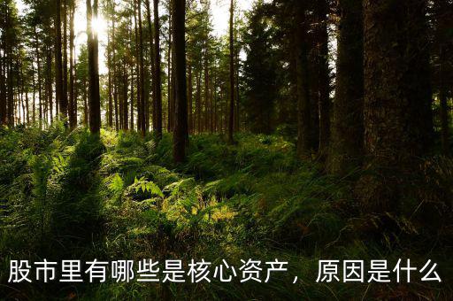 股市里有哪些是核心資產，原因是什么