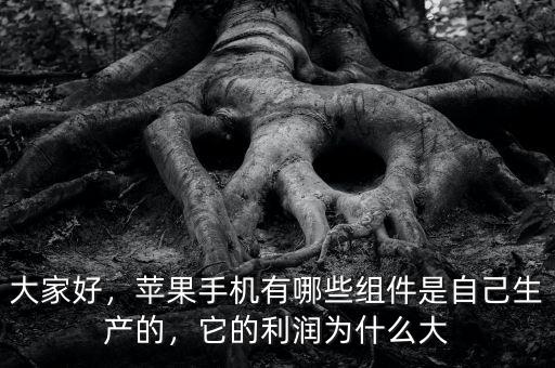 大家好，蘋果手機(jī)有哪些組件是自己生產(chǎn)的，它的利潤(rùn)為什么大
