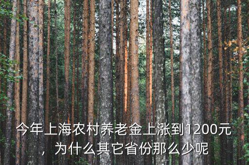 今年上海農(nóng)村養(yǎng)老金上漲到1200元，為什么其它省份那么少呢