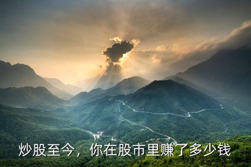 炒股至今，你在股市里賺了多少錢