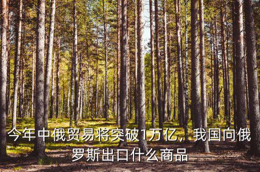 今年中俄貿(mào)易將突破1萬(wàn)億，我國(guó)向俄羅斯出口什么商品