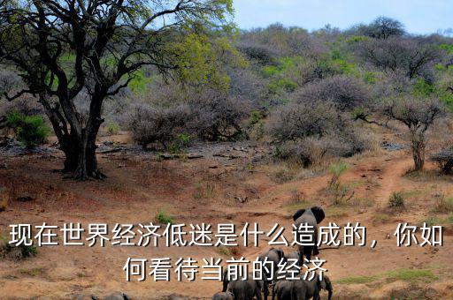 現(xiàn)在世界經(jīng)濟(jì)低迷是什么造成的，你如何看待當(dāng)前的經(jīng)濟(jì)
