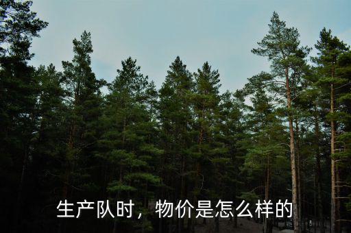 生產(chǎn)隊時，物價是怎么樣的
