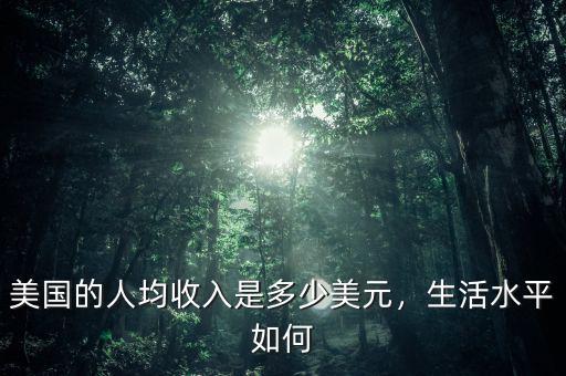 美國(guó)的人均收入是多少美元，生活水平如何