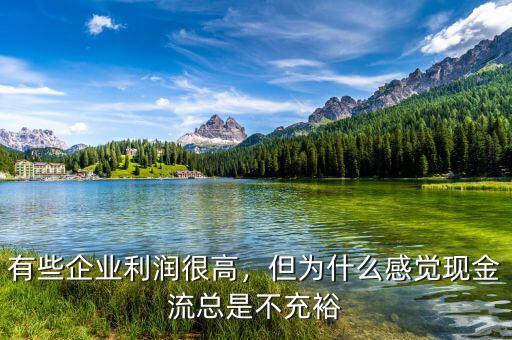 有些企業(yè)利潤(rùn)很高，但為什么感覺現(xiàn)金流總是不充裕