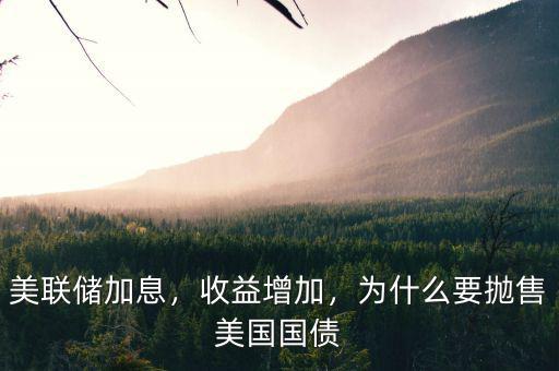 美聯(lián)儲加息，收益增加，為什么要拋售美國國債