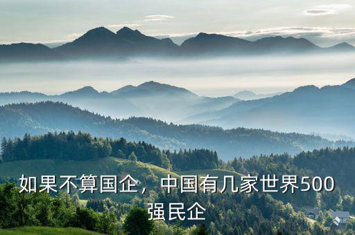 如果不算國企，中國有幾家世界500強民企