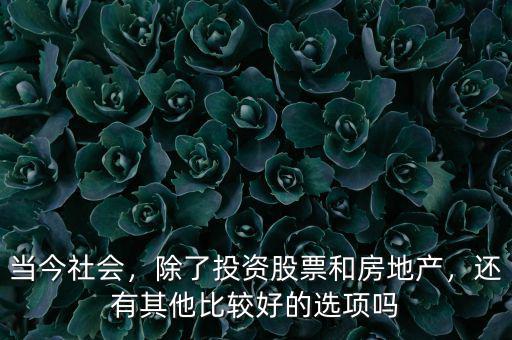 當(dāng)今社會(huì)，除了投資股票和房地產(chǎn)，還有其他比較好的選項(xiàng)嗎