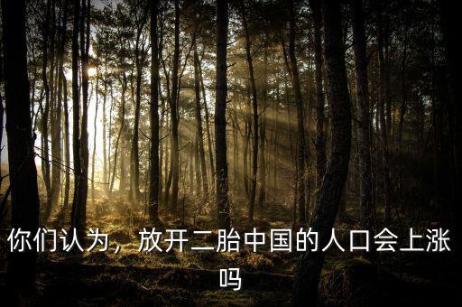 你們認為，放開二胎中國的人口會上漲嗎