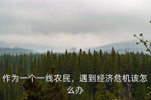 作為一個(gè)一線農(nóng)民，遇到經(jīng)濟(jì)危機(jī)該怎么辦