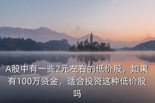 A股中有一些2元左右的低價(jià)股，如果有100萬(wàn)資金，適合投資這種低價(jià)股嗎