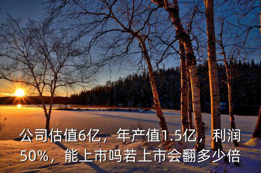 公司估值6億，年產(chǎn)值1.5億，利潤(rùn)50%，能上市嗎若上市會(huì)翻多少倍