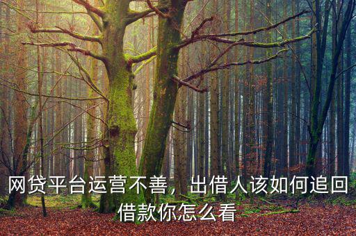 網(wǎng)貸平臺運營不善，出借人該如何追回借款你怎么看