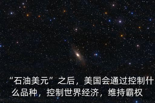 “石油美元”之后，美國會通過控制什么品種，控制世界經(jīng)濟，維持霸權(quán)