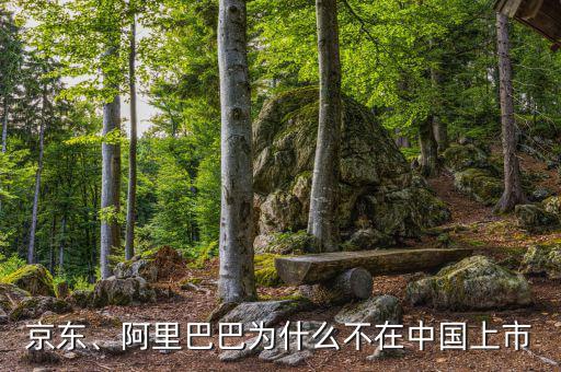 京東、阿里巴巴為什么不在中國上市