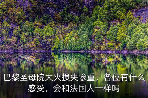 巴黎圣母院大火損失慘重，各位有什么感受，會和法國人一樣嗎