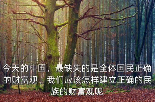 今天的中國，最缺失的是全體國民正確的財(cái)富觀、我們應(yīng)該怎樣建立正確的民族的財(cái)富觀呢