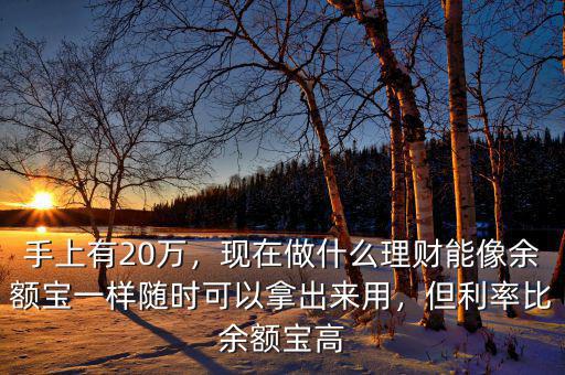手上有20萬，現(xiàn)在做什么理財(cái)能像余額寶一樣隨時(shí)可以拿出來用，但利率比余額寶高