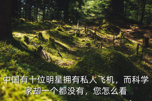 中國(guó)有十位明星擁有私人飛機(jī)，而科學(xué)家卻一個(gè)都沒(méi)有，您怎么看