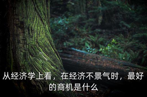 從經(jīng)濟(jì)學(xué)上看，在經(jīng)濟(jì)不景氣時(shí)，最好的商機(jī)是什么
