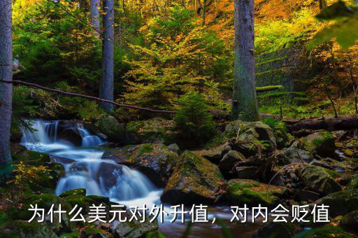為什么美元對(duì)外升值，對(duì)內(nèi)會(huì)貶值