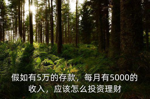 假如有5萬的存款，每月有5000的收入，應該怎么投資理財