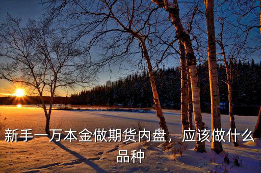 新手一萬本金做期貨內(nèi)盤，應(yīng)該做什么品種