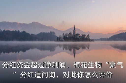 分紅資金超過凈利潤，梅花生物“豪氣”分紅遭問詢，對此你怎么評價