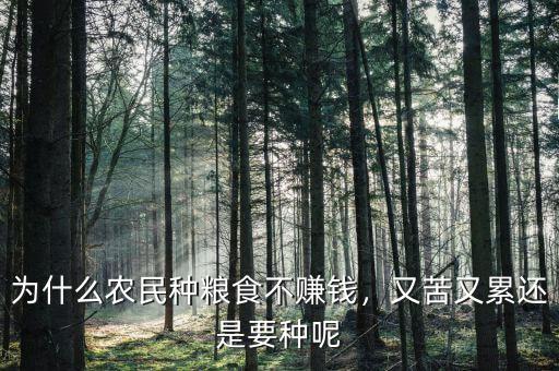 為什么農(nóng)民種糧食不賺錢，又苦又累還是要種呢