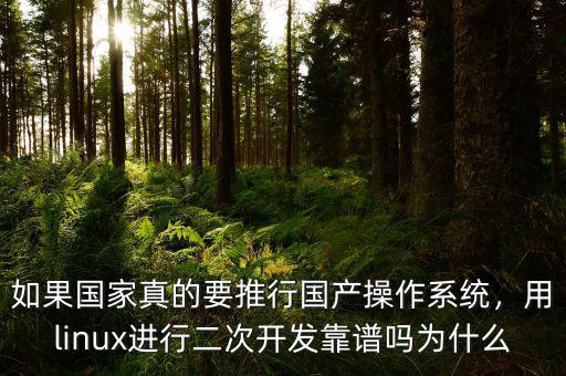 為什么要國(guó)產(chǎn)操作系統(tǒng),如果國(guó)產(chǎn)電腦操作系統(tǒng)上線