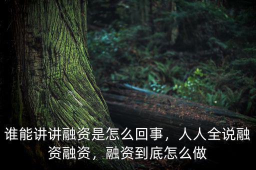 誰(shuí)能講講融資是怎么回事，人人全說(shuō)融資融資，融資到底怎么做