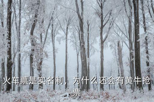 火車票是實(shí)名制，為什么還會(huì)有黃牛搶票