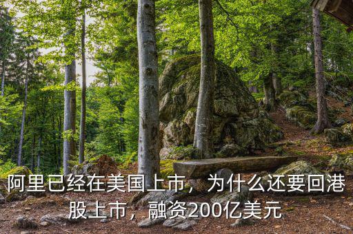 阿里已經(jīng)在美國上市，為什么還要回港股上市，融資200億美元