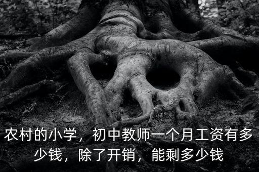 農(nóng)村的小學(xué)，初中教師一個(gè)月工資有多少錢(qián)，除了開(kāi)銷(xiāo)，能剩多少錢(qián)