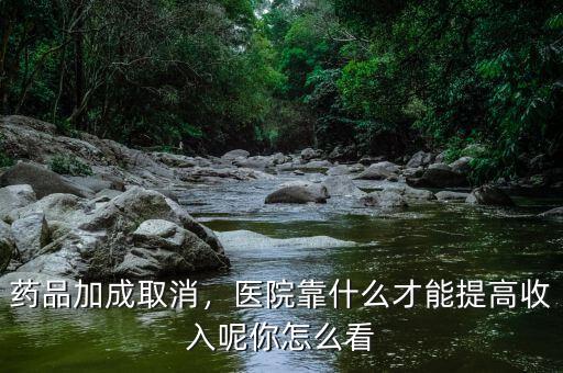 藥品加成取消，醫(yī)院靠什么才能提高收入呢你怎么看