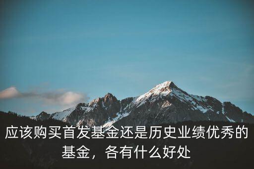 應(yīng)該購買首發(fā)基金還是歷史業(yè)績優(yōu)秀的基金，各有什么好處