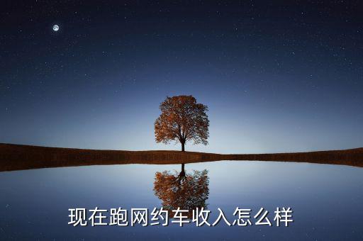 現在跑網約車收入怎么樣
