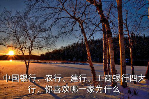 中國(guó)銀行、農(nóng)行、建行、工商銀行四大行，你喜歡哪一家為什么