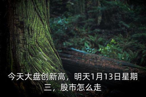 今天大盤創(chuàng)新高，明天1月13日星期三，股市怎么走