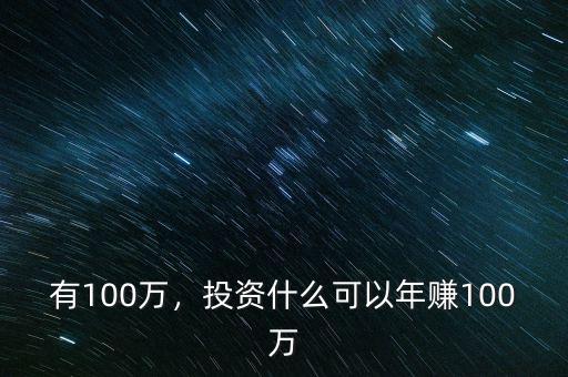 有100萬，投資什么可以年賺100萬