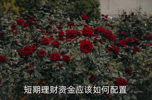 大量短期資金可以用來(lái)做什么,自己的錢(qián)用來(lái)做什么收益最大