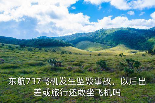 東航737飛機發(fā)生墜毀事故，以后出差或旅行還敢坐飛機嗎