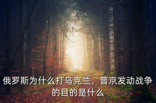 俄羅斯為什么打?yàn)蹩颂m，普京發(fā)動(dòng)戰(zhàn)爭的目的是什么