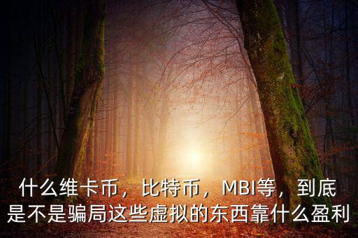 什么維卡幣，比特幣，MBI等，到底是不是騙局這些虛擬的東西靠什么盈利