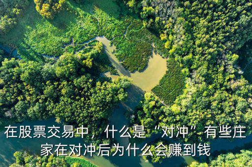 在股票交易中，什么是“對沖”有些莊家在對沖后為什么會賺到錢