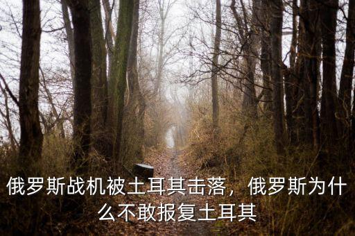俄羅斯戰(zhàn)機(jī)被土耳其擊落，俄羅斯為什么不敢報(bào)復(fù)土耳其
