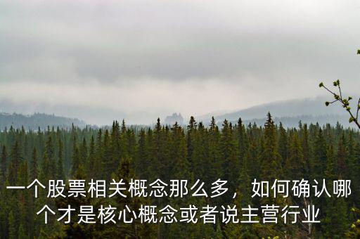一個股票相關概念那么多，如何確認哪個才是核心概念或者說主營行業(yè)