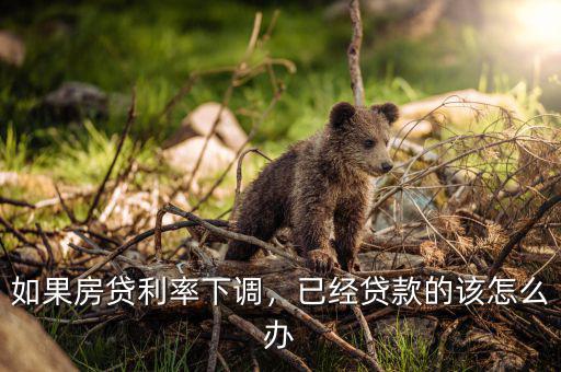 如果房貸利率下調(diào)，已經(jīng)貸款的該怎么辦