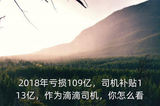 2018年虧損109億，司機(jī)補(bǔ)貼113億，作為滴滴司機(jī)，你怎么看